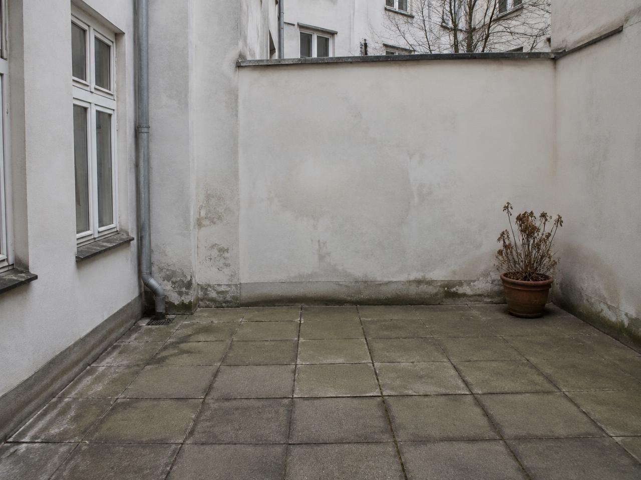 Before: Grey courtyard → garden room